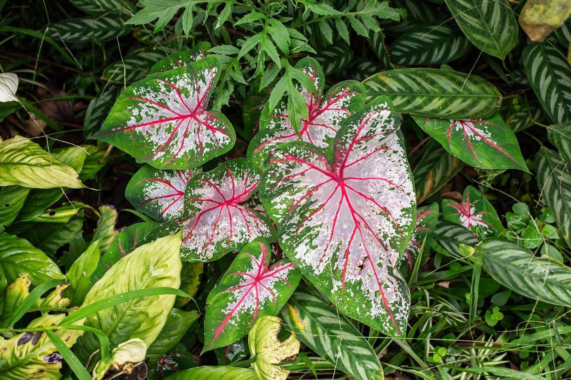 Refúgio romântico em meio à natureza Penedo  Exterior foto