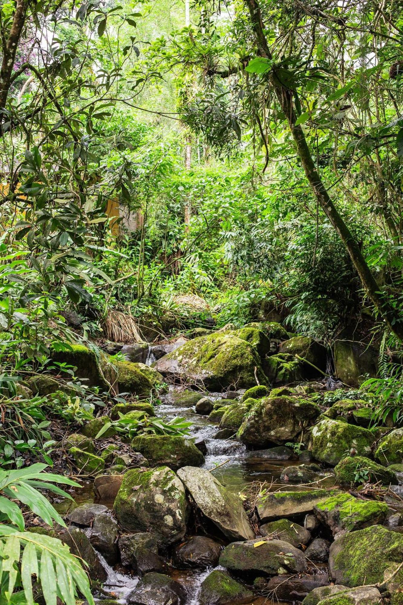 Refúgio romântico em meio à natureza Penedo  Exterior foto